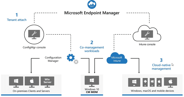 OneOffice: Microsoft Endpoint Manager